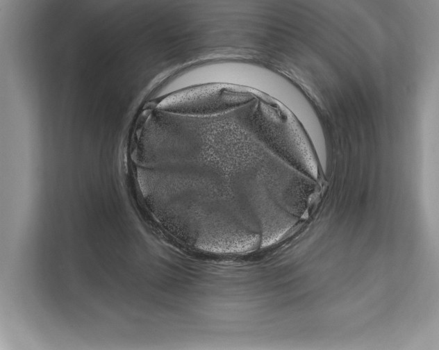 X0000110870348200907091406