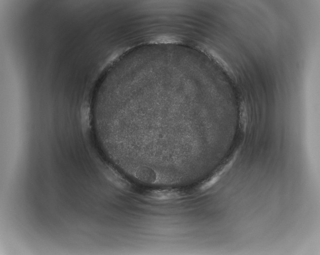 X0000110870351200907091406