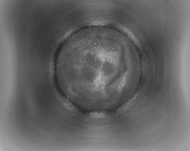 X0000110870354200907091406