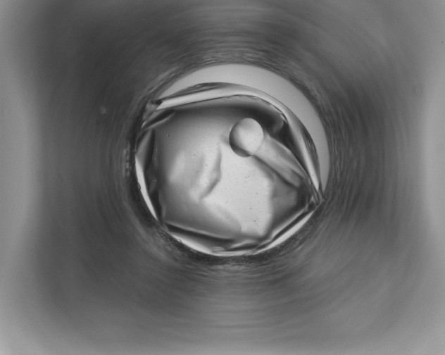 X0000110870356200907091406