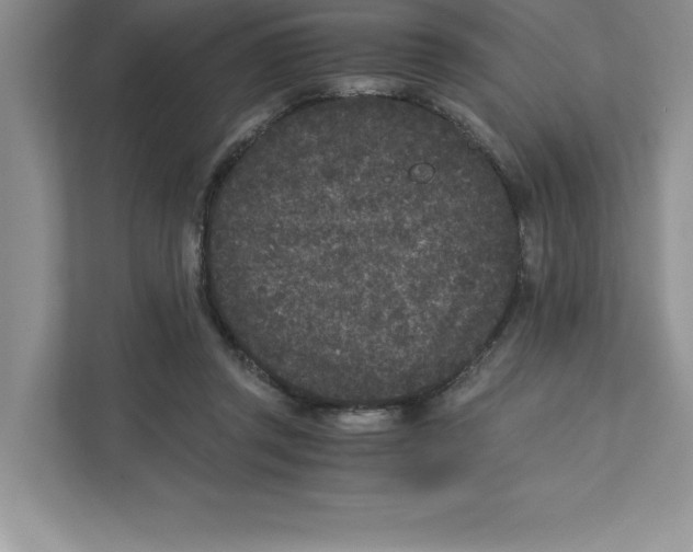 X0000110870357200907091406