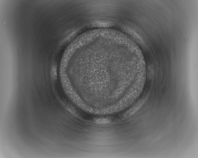 X0000110870358200907091406