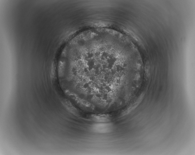 X0000110870359200907091406