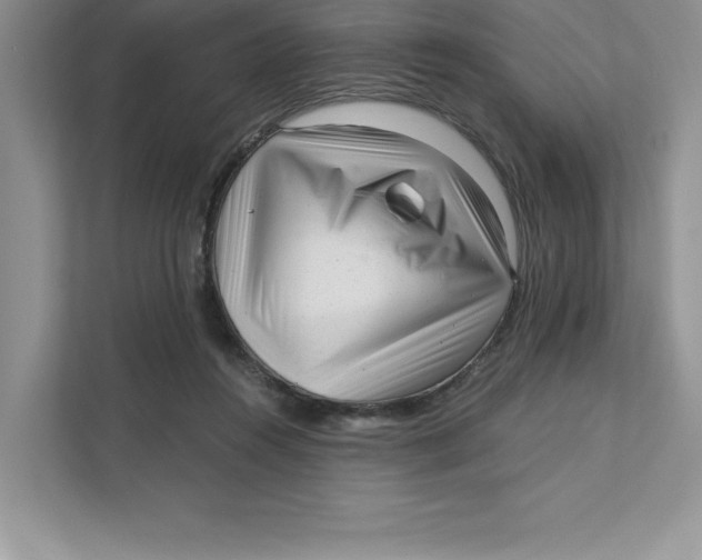 X0000110870360200907091406