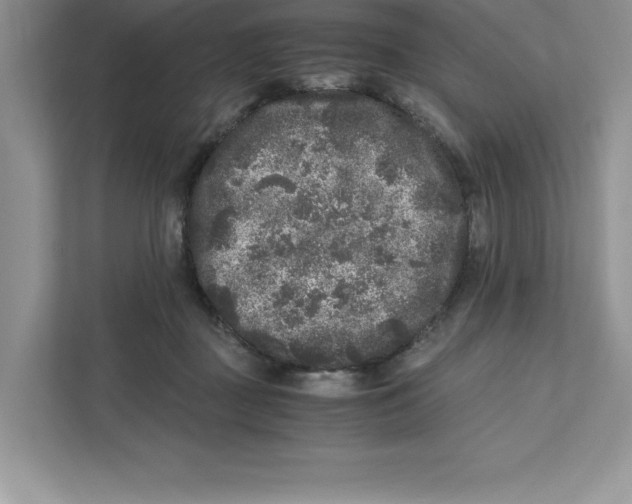 X0000110870363200907091406