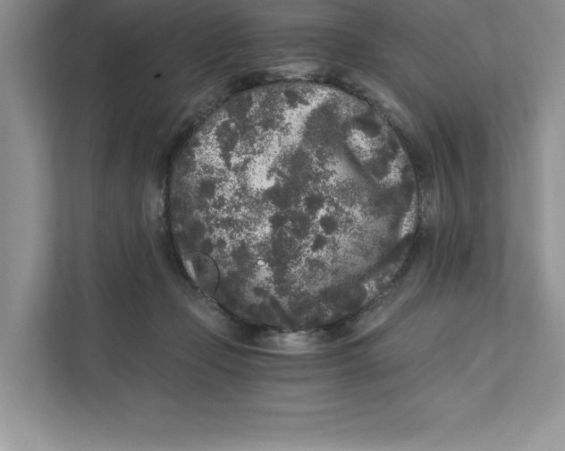 X0000110870365200907091406