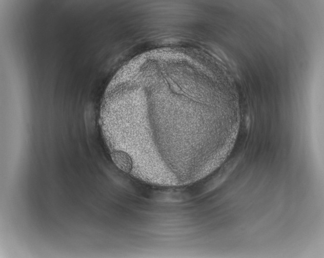 X0000110870366200907091406