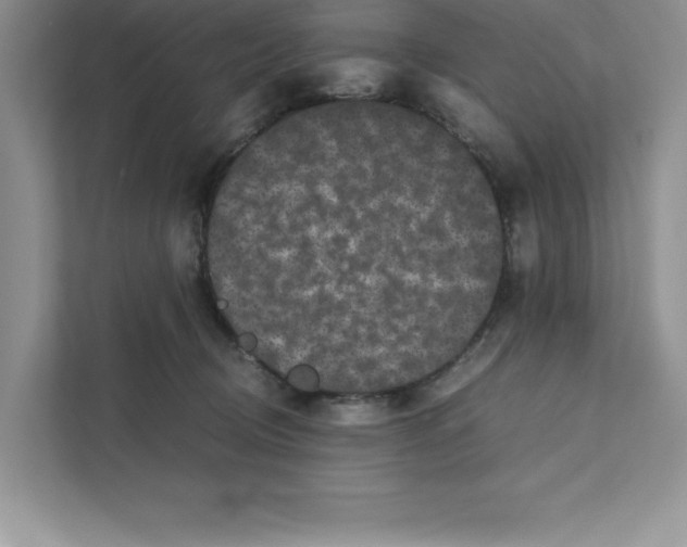 X0000110870370200907091406