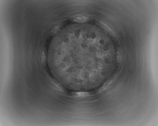 X0000110870371200907091406