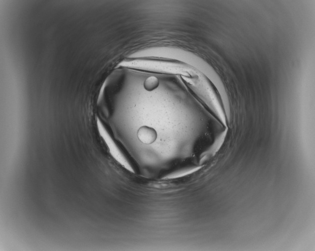 X0000110870372200907091406