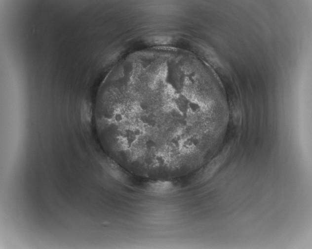 X0000110870374200907091406