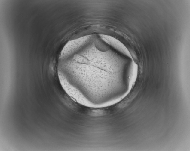 X0000110870376200907091406