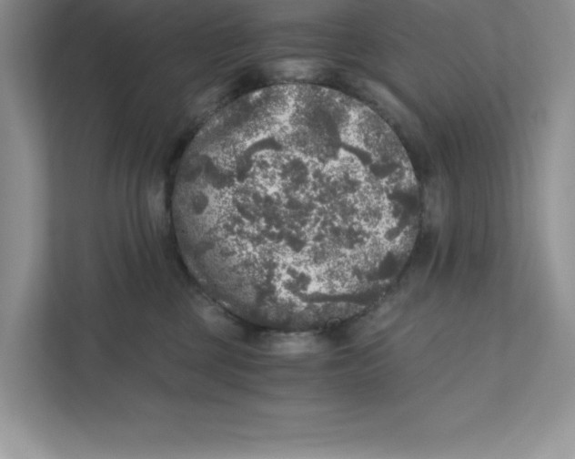 X0000110870377200907091406