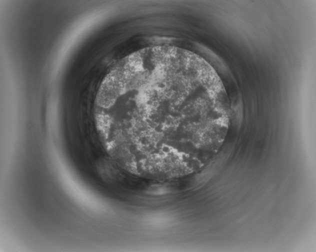 X0000110870381200907091406