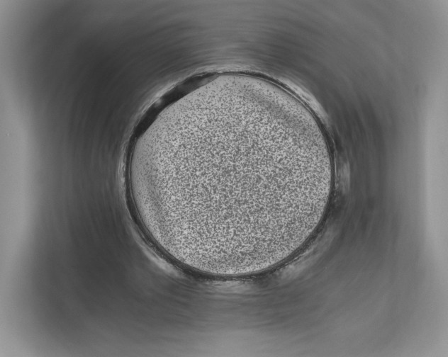 X0000110870389200907091405