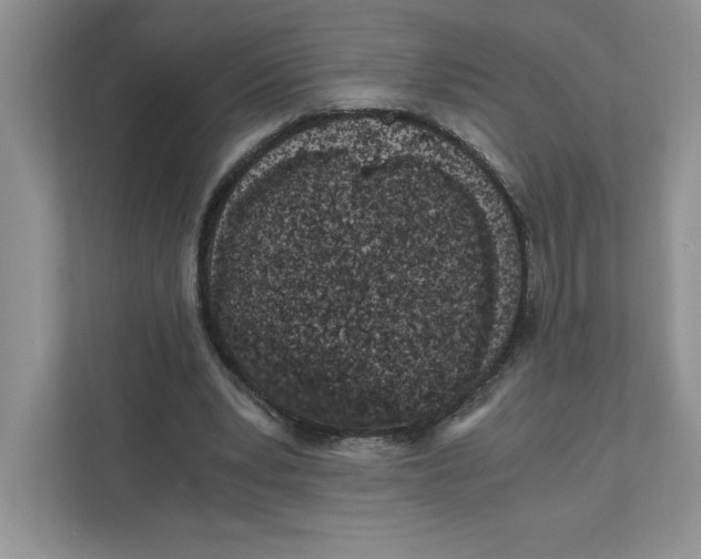 X0000110870391200907091405