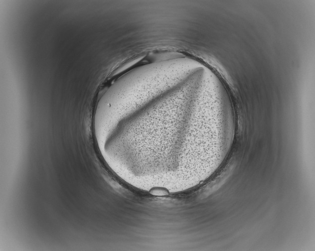 X0000110870393200907091405