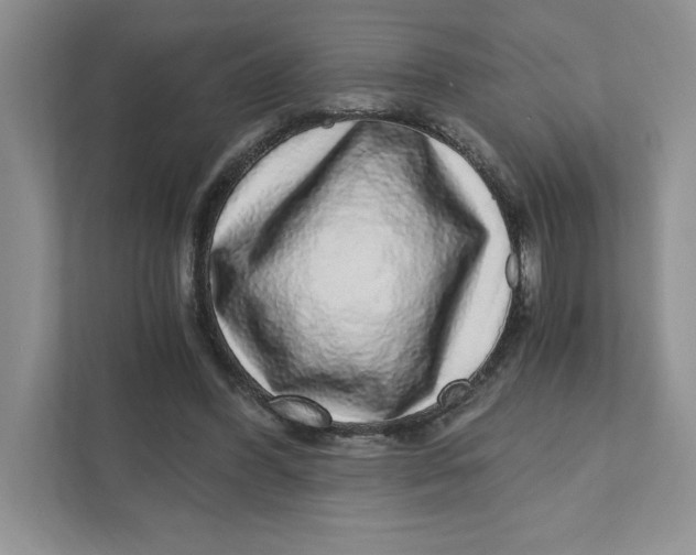 X0000110870396200907091405