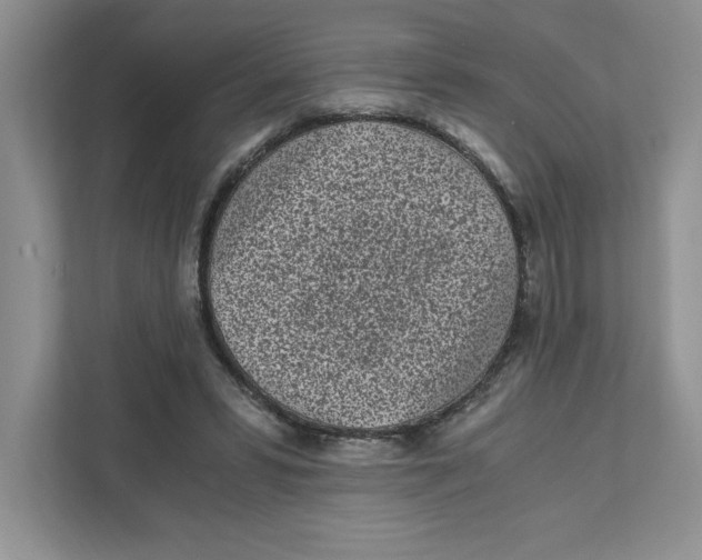 X0000110870399200907091405