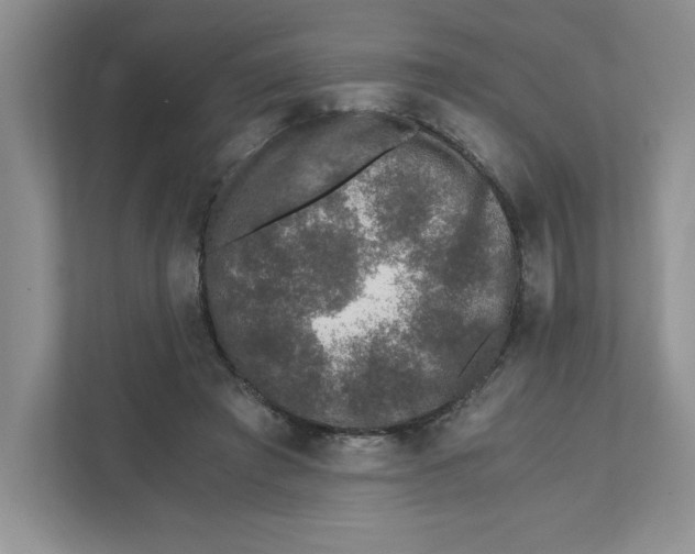 X0000110870401200907091405