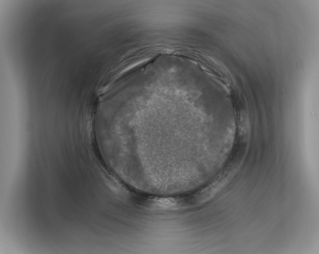 X0000110870409200907091405