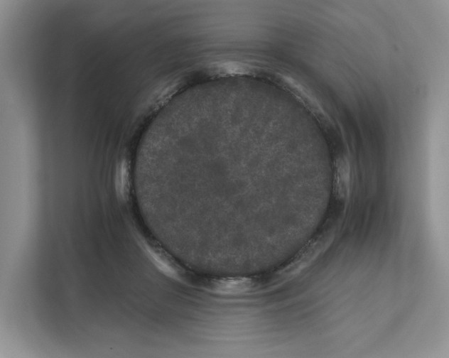 X0000110870410200907091405