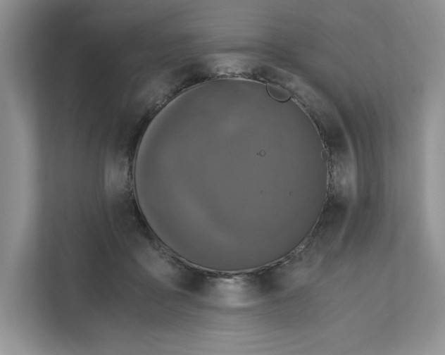 X0000110870411200907091405