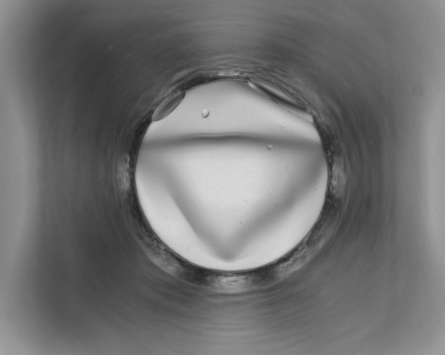 X0000110870413200907091405