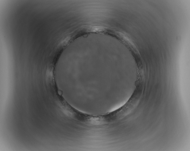 X0000110870415200907091405