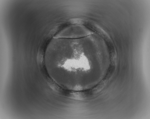 X0000110870417200907091405