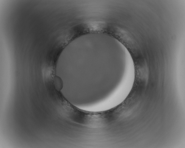 X0000110870419200907091405