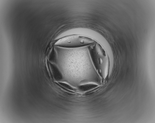 X0000110870421200907091405