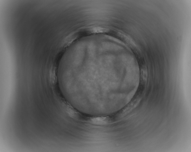 X0000110870422200907091405