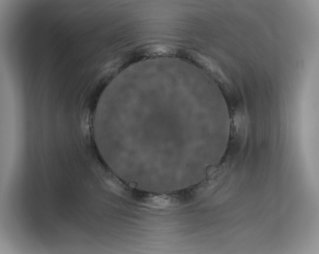 X0000110870423200907091405