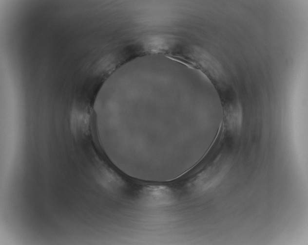 X0000110870427200907091405