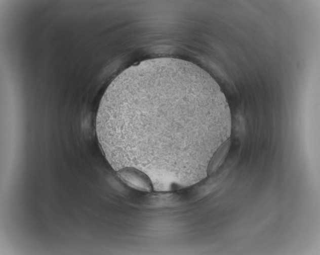 X0000110870428200907091405