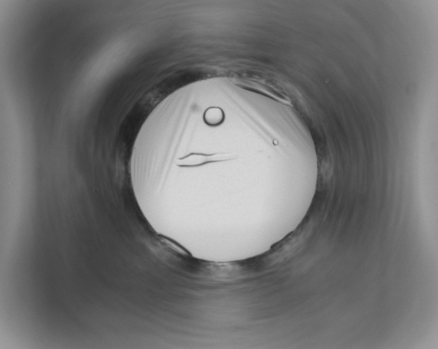 X0000110870429200907091405