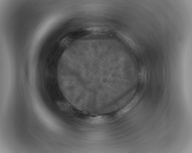 X0000110870430200907091405