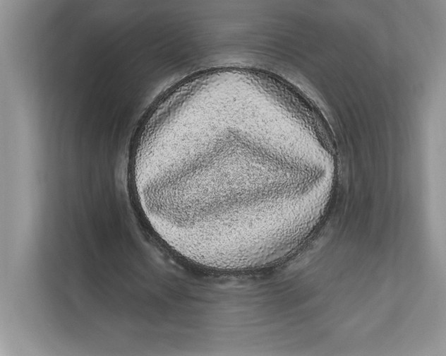 X0000110870434200907091404