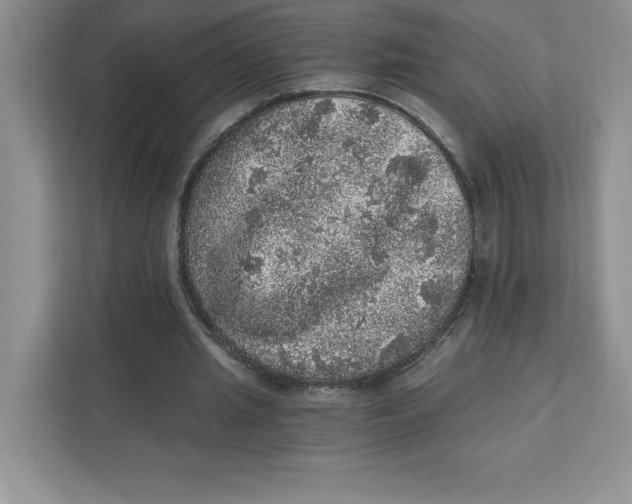 X0000110870437200907091404