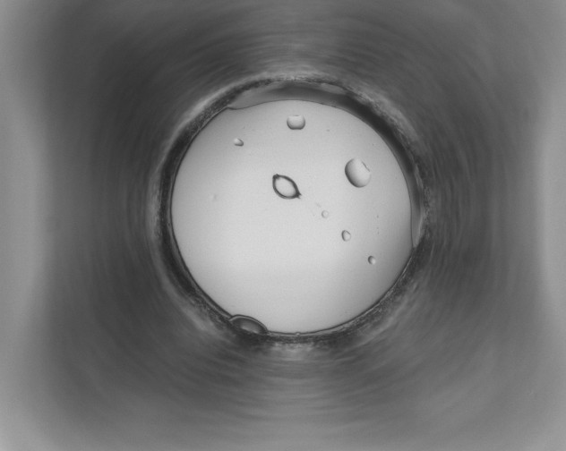 X0000110870440200907091404