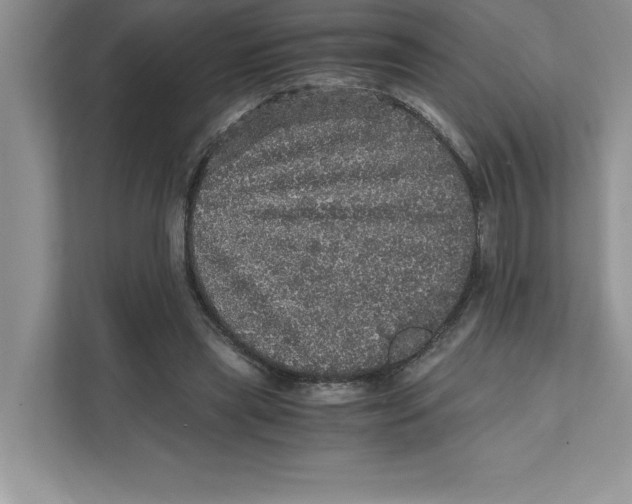 X0000110870445200907091404