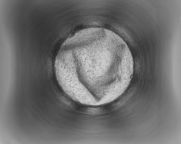 X0000110870457200907091404