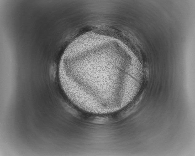 X0000110870458200907091404