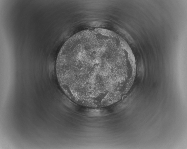 X0000110870473200907091405