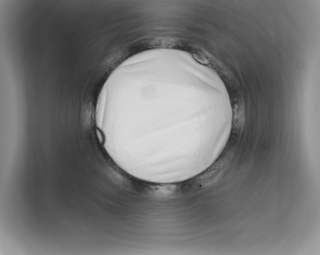 X0000110870474200907091405