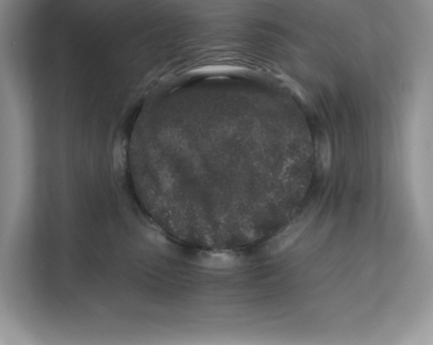 X0000110870475200907091405