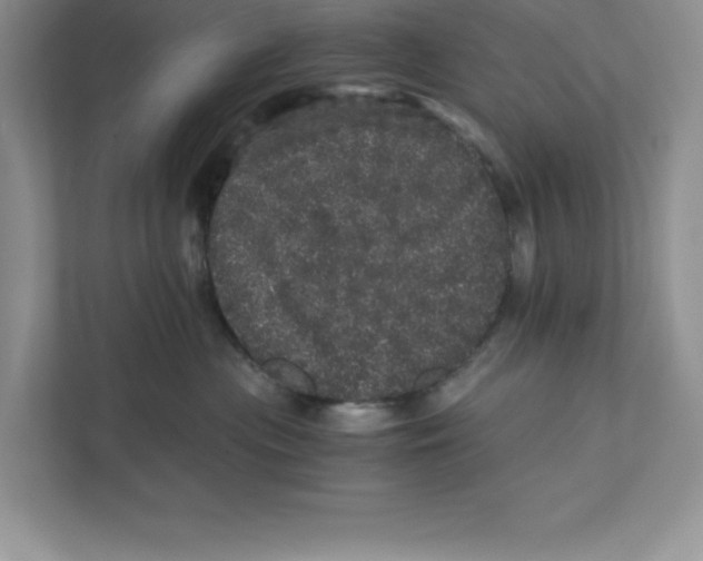 X0000110870477200907091405