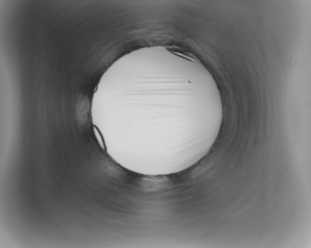 X0000110870480200907091405