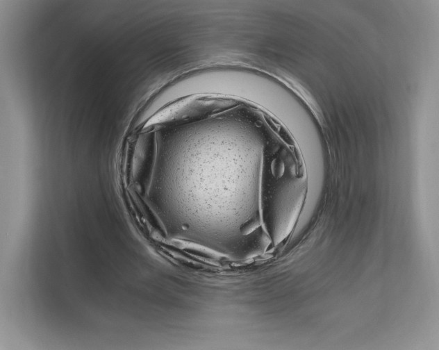 X0000110870485200907091404